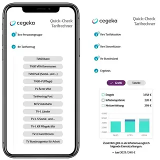 FINAS Quick-Check Tarifvertrag