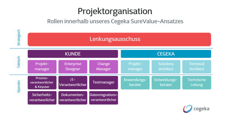ERP Projekt Team Microsoft Dynamics 365 Projektorganisation