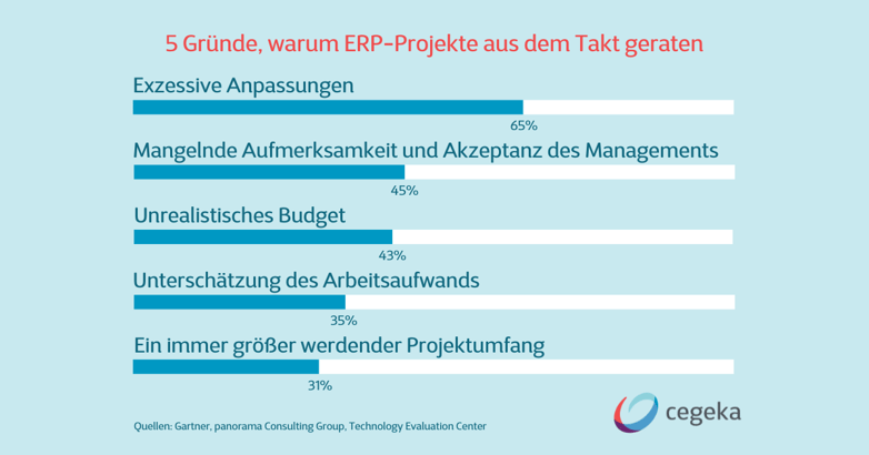 ERP Projekt Ziele Strategie Microsoft Dynamics 365 Warum ERP Projekte scheitern