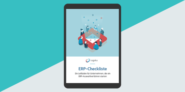 ERP-Checkliste