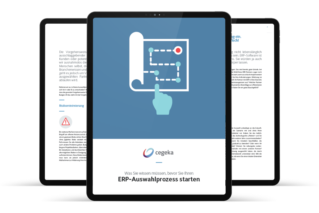 Ebook ERP Selektion Cegeka Österreich