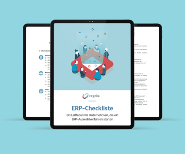 ERP-Checkliste