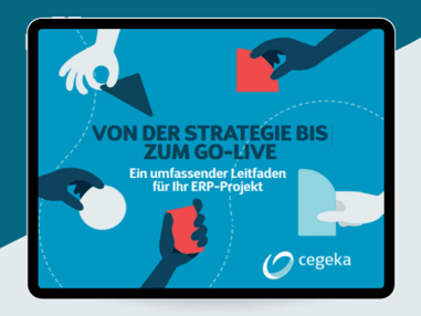 ERP-Projektleitfaden