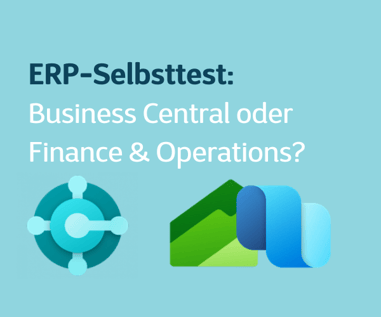 ERP-Selbsttest