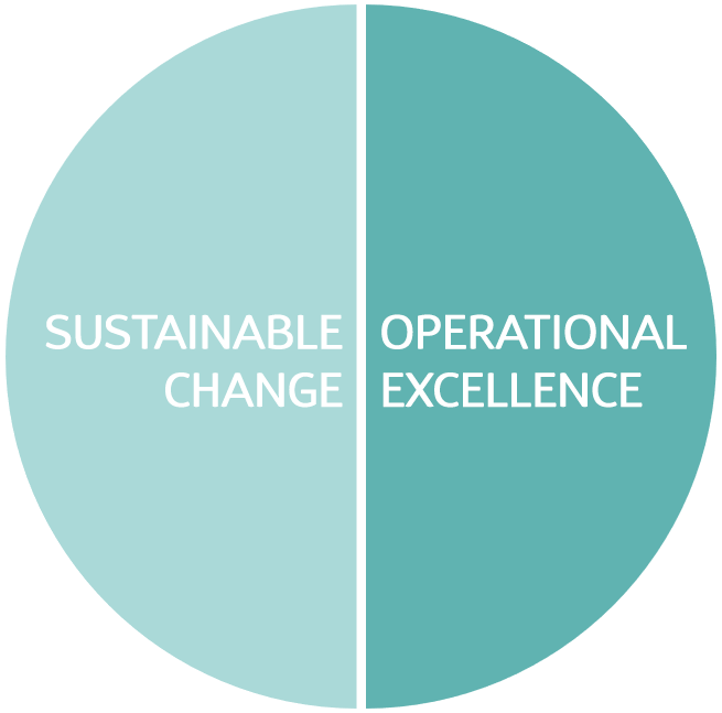 Sustainable change and Operational excellence