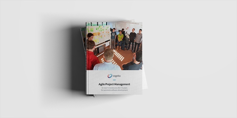 agile coaching insights