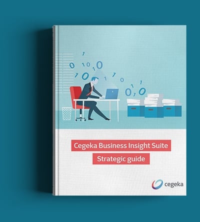 CBI Strategic Guide
