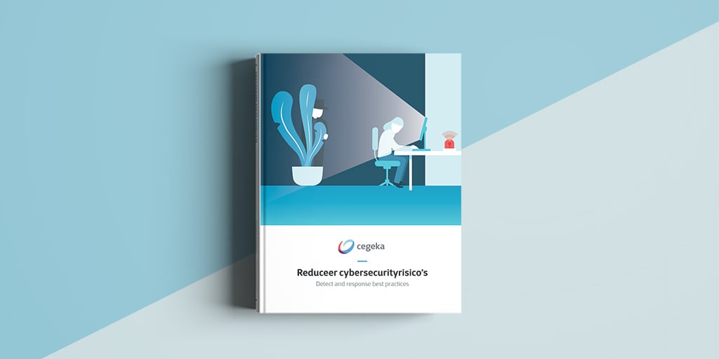 Reduceer cybersecurity risico's - ebook