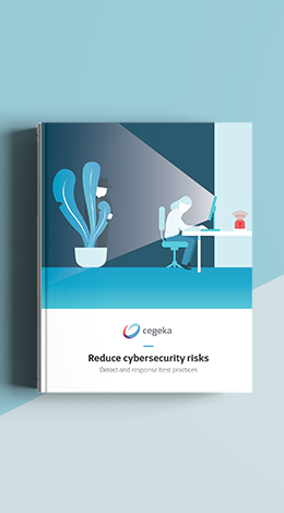 eBook: Reduce cybersecurity risks