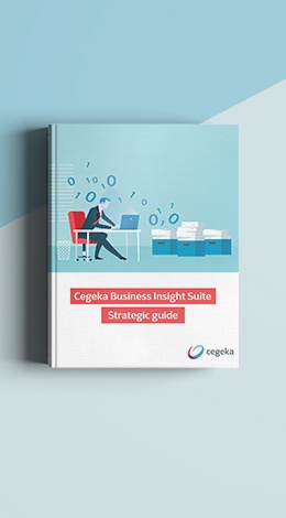 CBI-strategic-guide-tall.jpg
