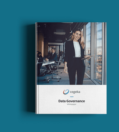 Whitepaper Data Governance