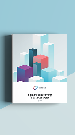 Guide with 5 pillars of becoming a data company