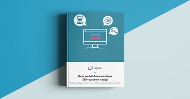 E-book: ERP Change Management