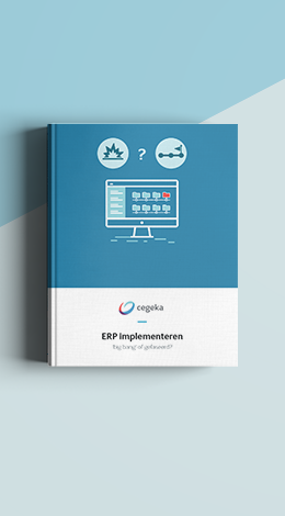 ERPImplementeren_Landingspagina_D.png