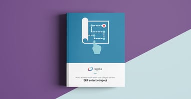 E-book: ERP Selectietraject