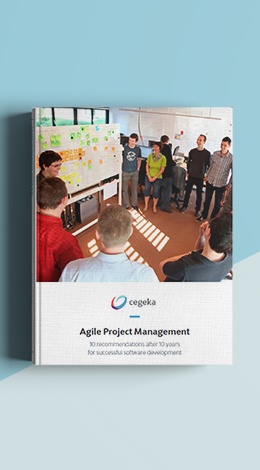 MockUpCover_Agile-Project-Management_ENG_2.jpg