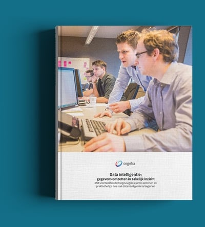 MockUpCover_Dataintelligentier_NLv03