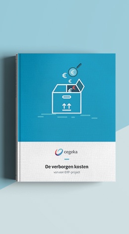 MockUpCover_ERP-verborgen-kosten_NL_2-1.jpg