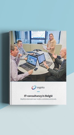 MockUpCover_IT-consultancy-in-Belgie_NL_2.jpg