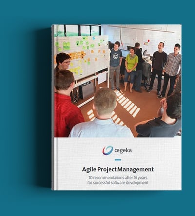 E-book: Agile Project Management