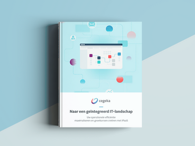 E-book - Naar een geintegreerd IT-landschap