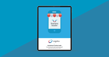 Introduction to Fearless Leader