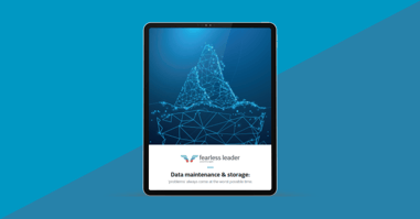 Data Maintenance & Storage