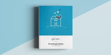 ERP: Verborgen kosten