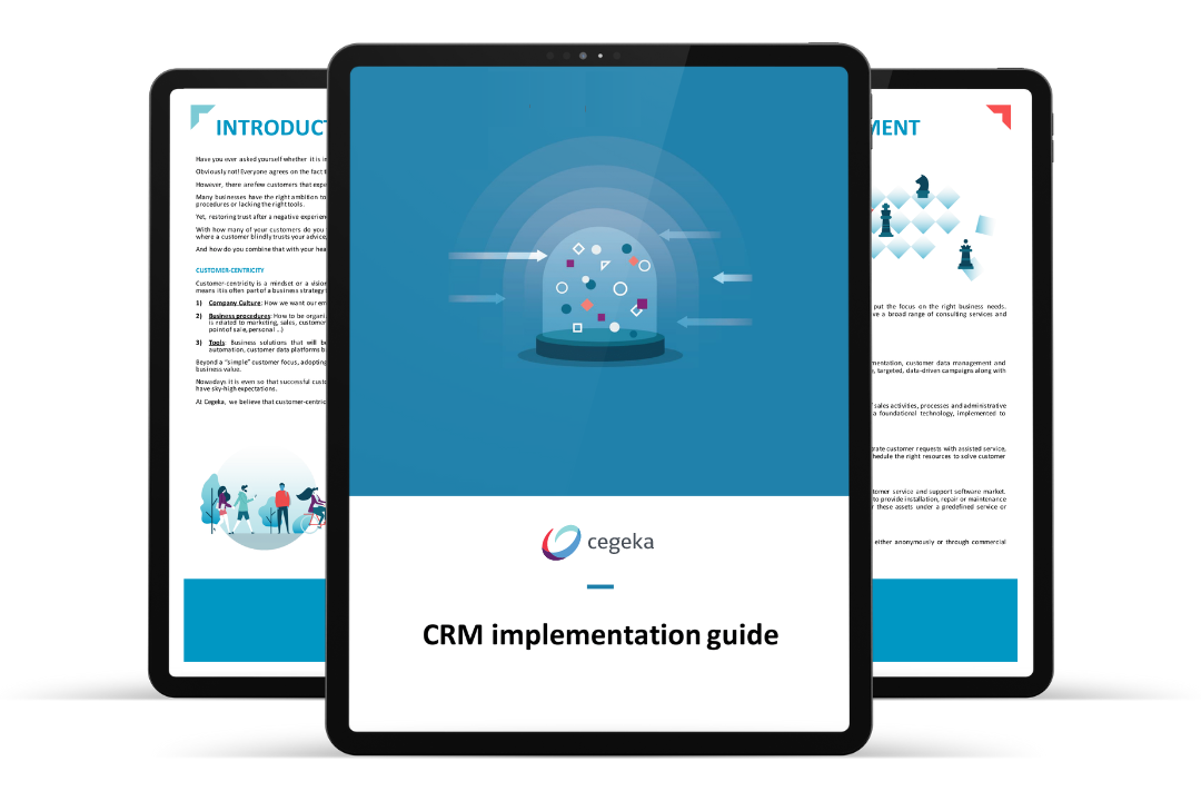 CRM-Implementation-Guide-Visual