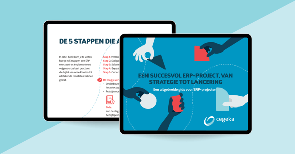 ERP selectiegids NL overview image ebooks
