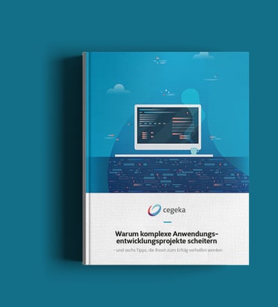 Cegeka Whitepaper Anwendungsentwicklung