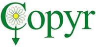 copyr-logo-web-2010
