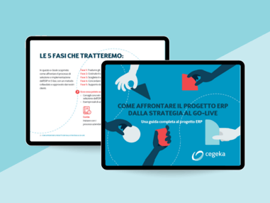 Guida per la selezione ERP