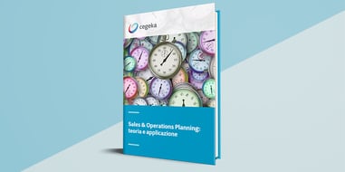 Sales & Operations Planning: teoria e applicazione