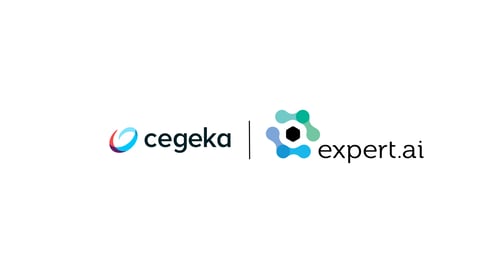 Cegeka e Expert ai