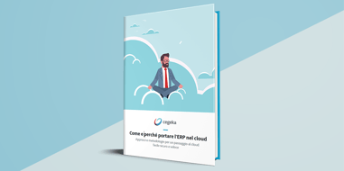 Come e perché portare l’ERP nel cloud