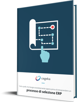 cgk_ebook_ERPSelection