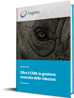 cgk_ebook_cover_oltre_crm