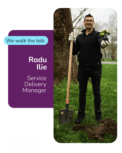 Radu Ilie no logo