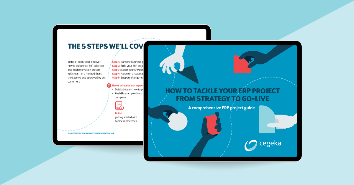 How ERP can transform your business: the benefits, challenges and next ...