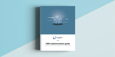 CRM Implementation guide
