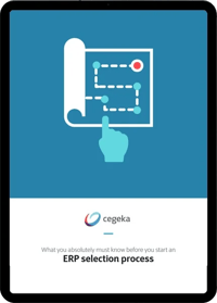 erp-selection-process
