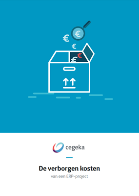 ERP verborgen kosten ERP verborgen kosten