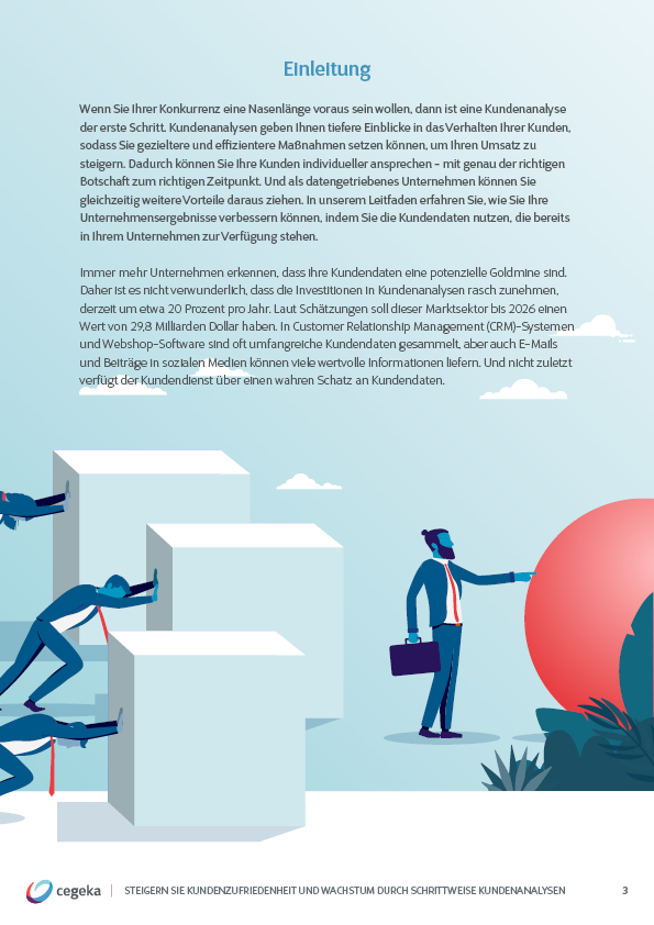 Ebook Kundenanalysen CRM Cegeka_S3