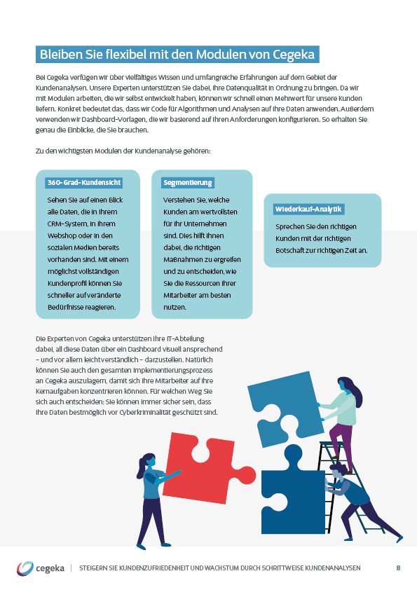 Ebook Kundenanalysen CRM Cegeka_S8