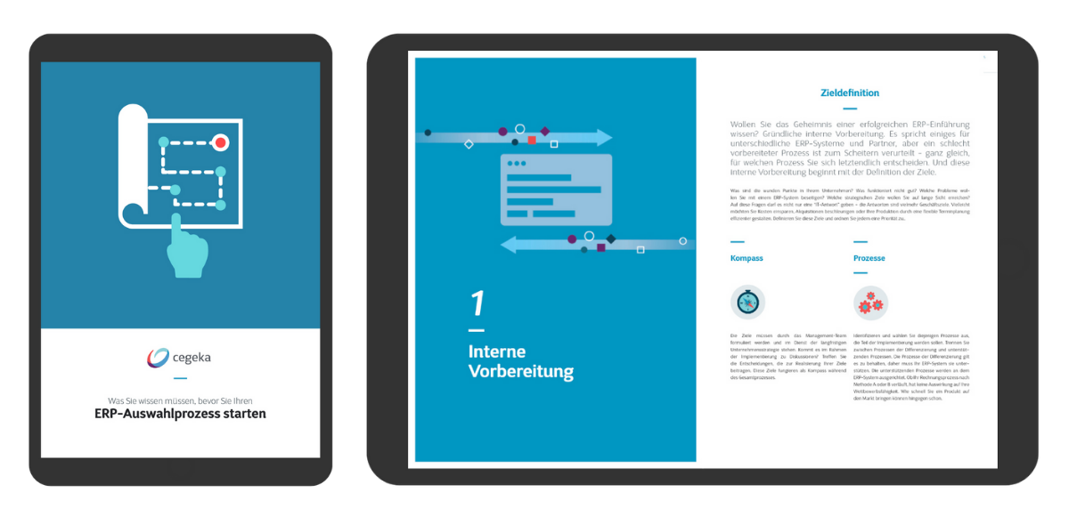 Ebook ERP Auswahl Cegeka
