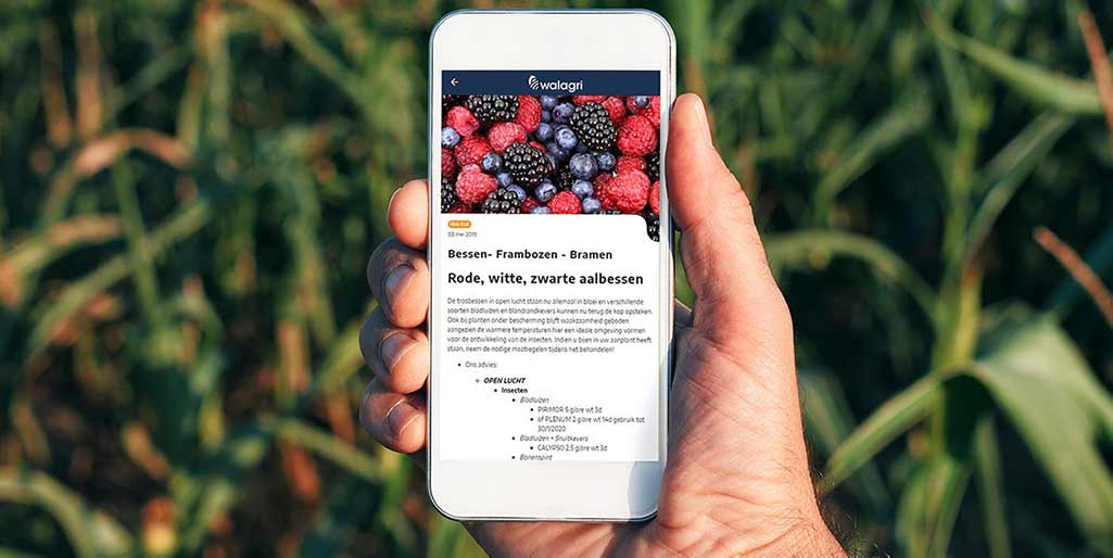 Arvesta launcht von Cegeka entwickelte App für Landwirte