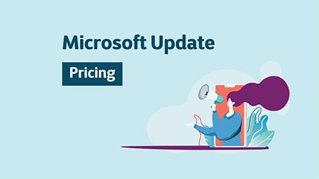 Pricing update microsoft dynamics