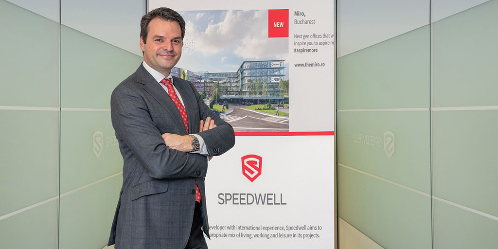 Speedwell