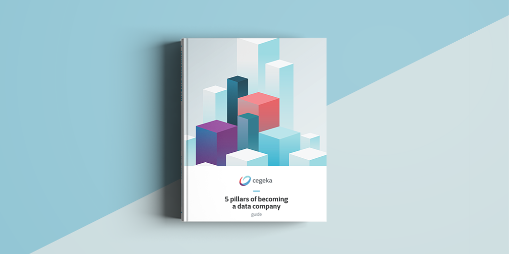 Download guide with 5 pillars to become a data company